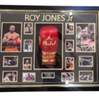 roy jones jr signed glove