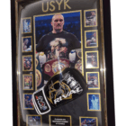 framed usyk glove
