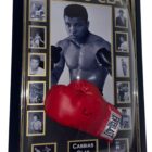 cassius clay autographed glove