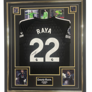 david ray autographed signed framed shirt jersey