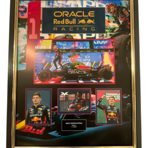 Max Verstappen Bull Signed Photo