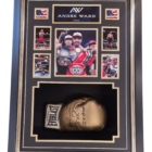 SOG ANDRE WARD SIGNED BOCING GLOVE