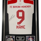 HARRY KANE SIGNED SHRI T