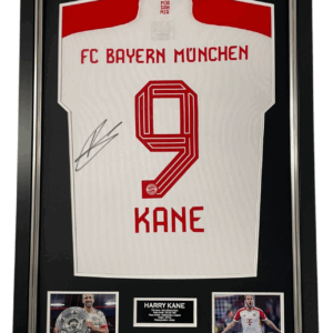 HARRY KANE SIGNED SHRI T