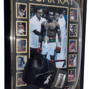 sugar ray leonard signed glove