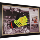 david seamn glove