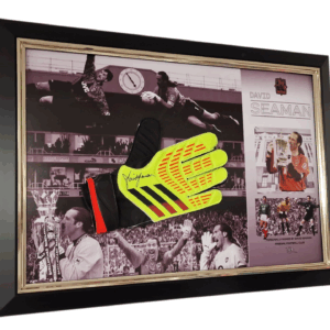 david seamn glove