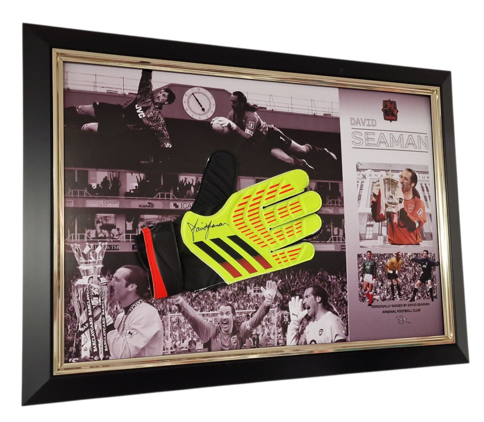 david seamn glove