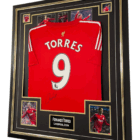 fernado torres signed shirt