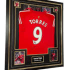 fernando torres signed jersey