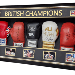 lennox lewis signed glove haye bruno joshua