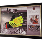 seaman signed glove framed