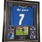 del piero digned display