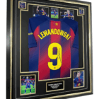 robert lewandowski signed jersey