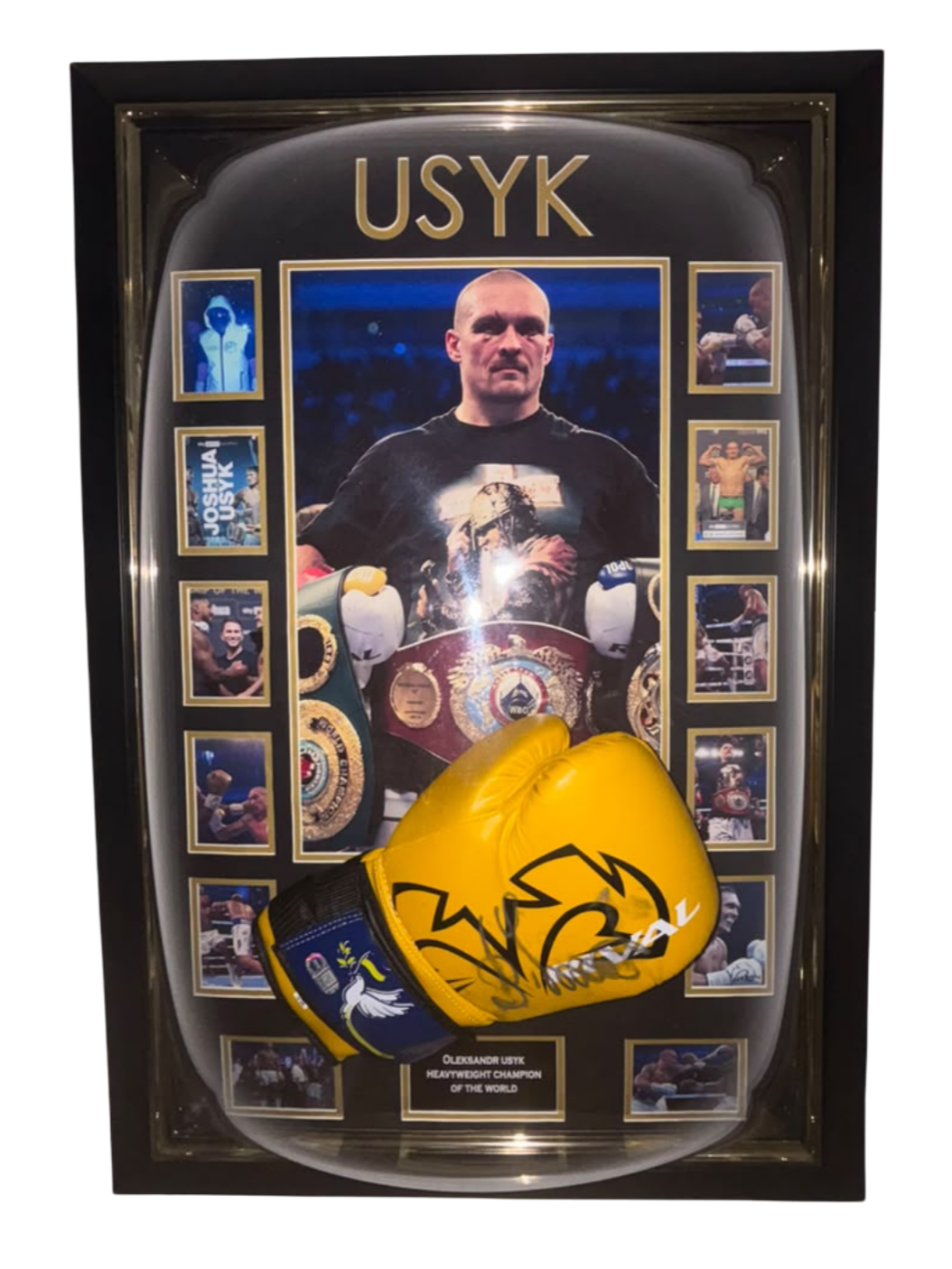 oleksandr usyk signed boxing glove