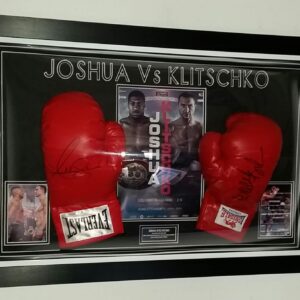 Anthony Joshua And Klitschko Signed boxing Glove Display